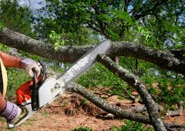  Roxana, IL Tree Services Pros